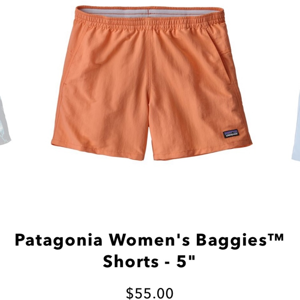 Patagonia Baggies Shorts